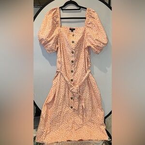 J. Crew Tan Animal Print Button-Up dress